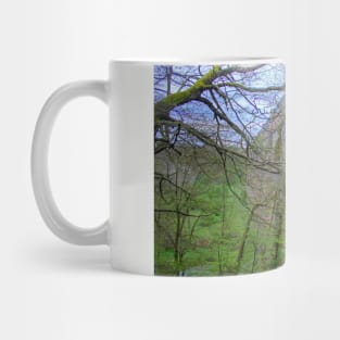 Avon Aqueduct III Mug